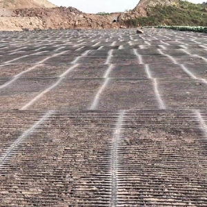 One-way plastic geogrid construction