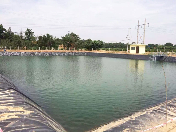 Construction of geomembrane for fish pond culture