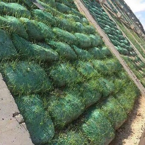 草籽植生袋护坡工程